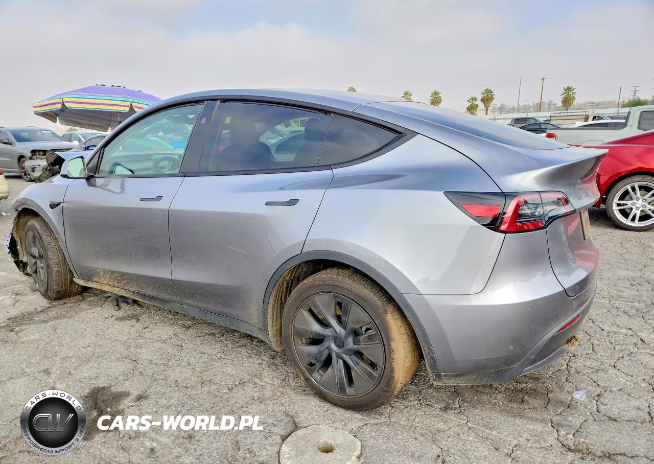 2025 Tesla Model Y VIN:7SAYGDED1SF271898 - 2