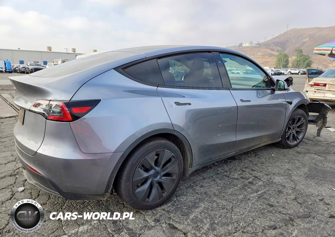 2025 Tesla Model Y VIN:7SAYGDED1SF271898 - 3