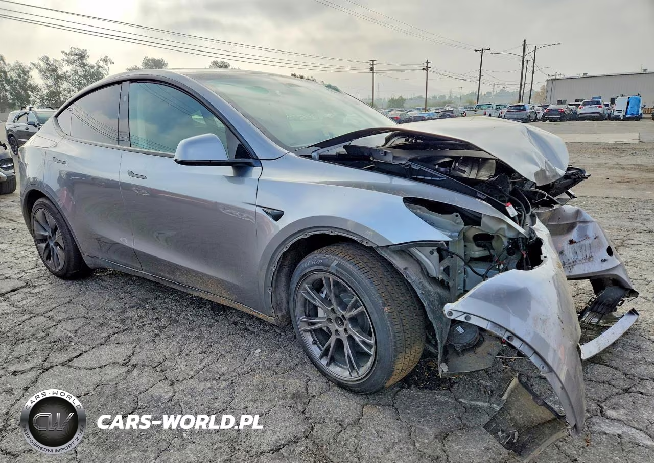 2025 Tesla Model Y VIN:7SAYGDED1SF271898 - 4