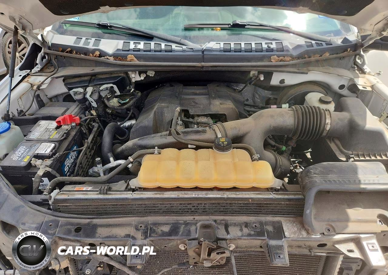 2018 Ford F150 Supercrew VIN:1FTEW1CP5JKC69815 - 11