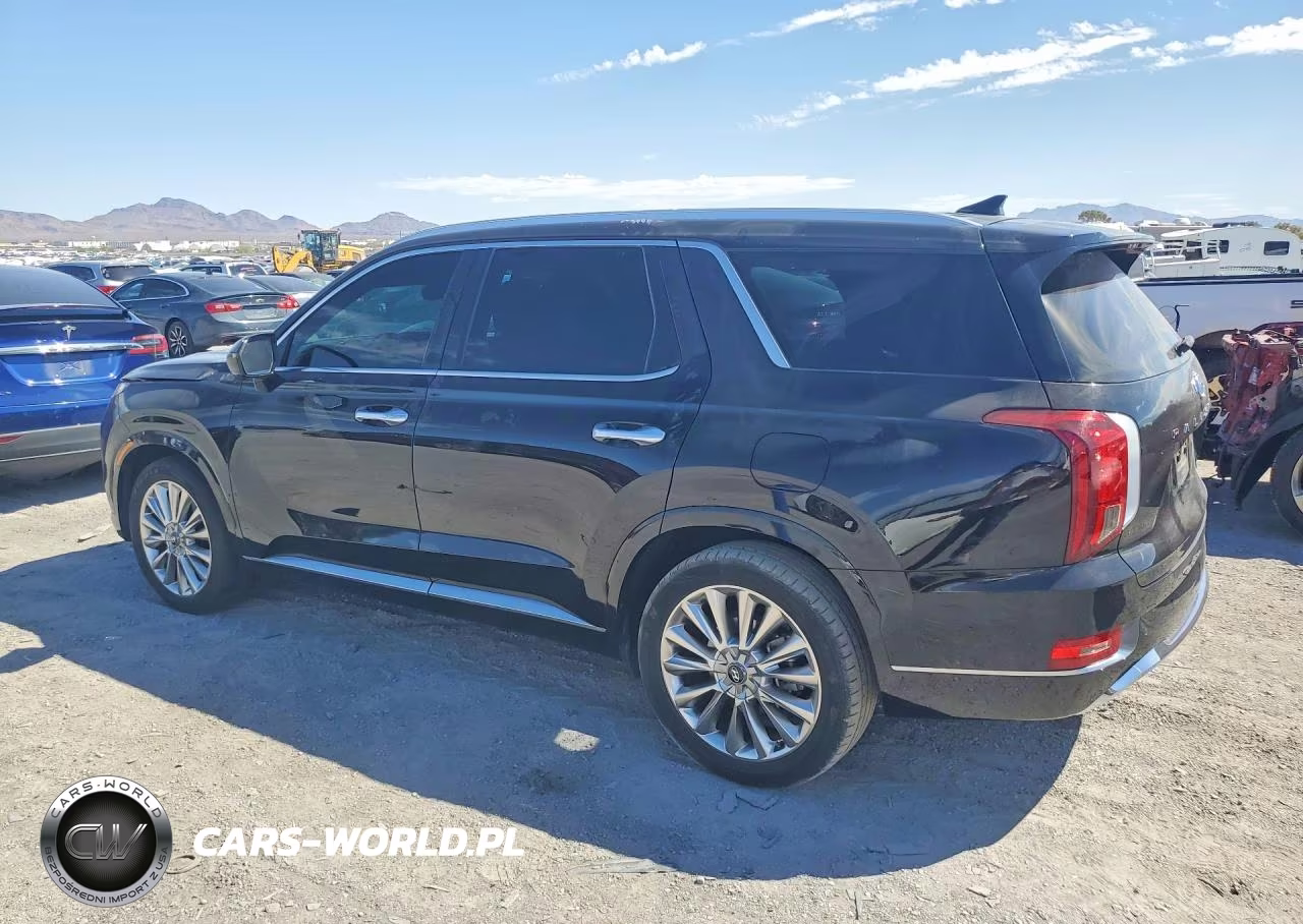 2020 Hyundai Palisade Limited VIN:KM8R54HEXLU080867 - 2