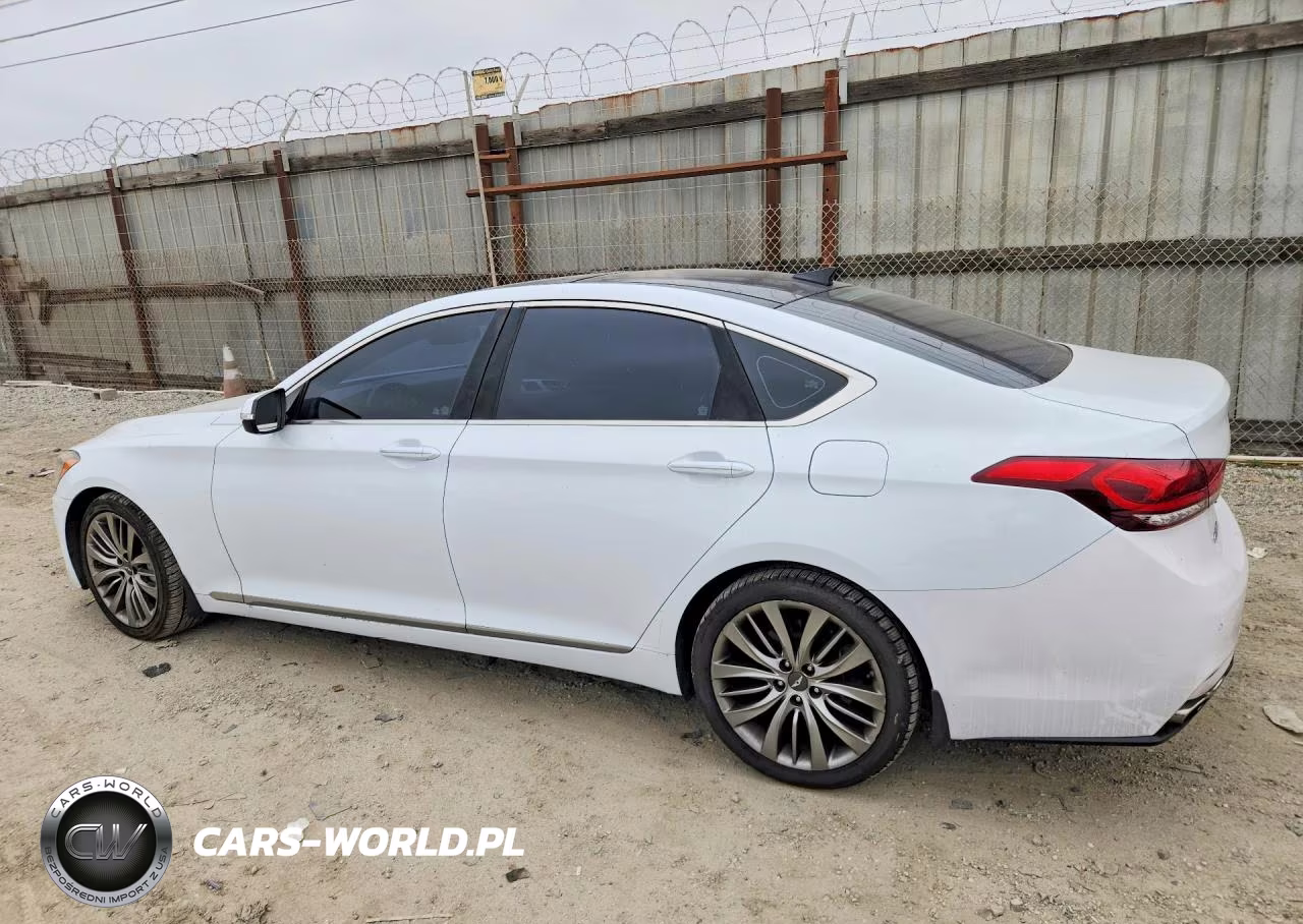 2015 Hyundai Genesis 5.0L VIN:KMHGN4JF2FU041396 - 2