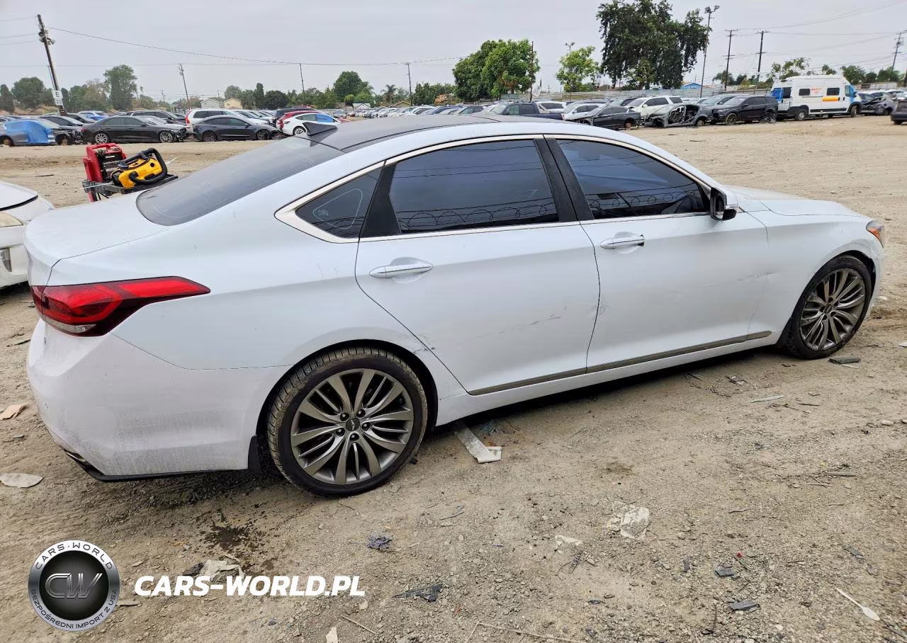 2015 Hyundai Genesis 5.0L VIN:KMHGN4JF2FU041396 - 3