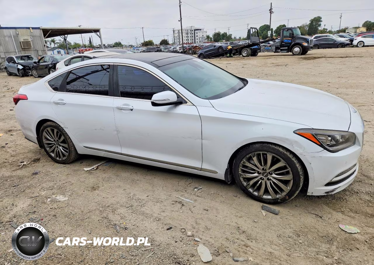 2015 Hyundai Genesis 5.0L VIN:KMHGN4JF2FU041396 - 4