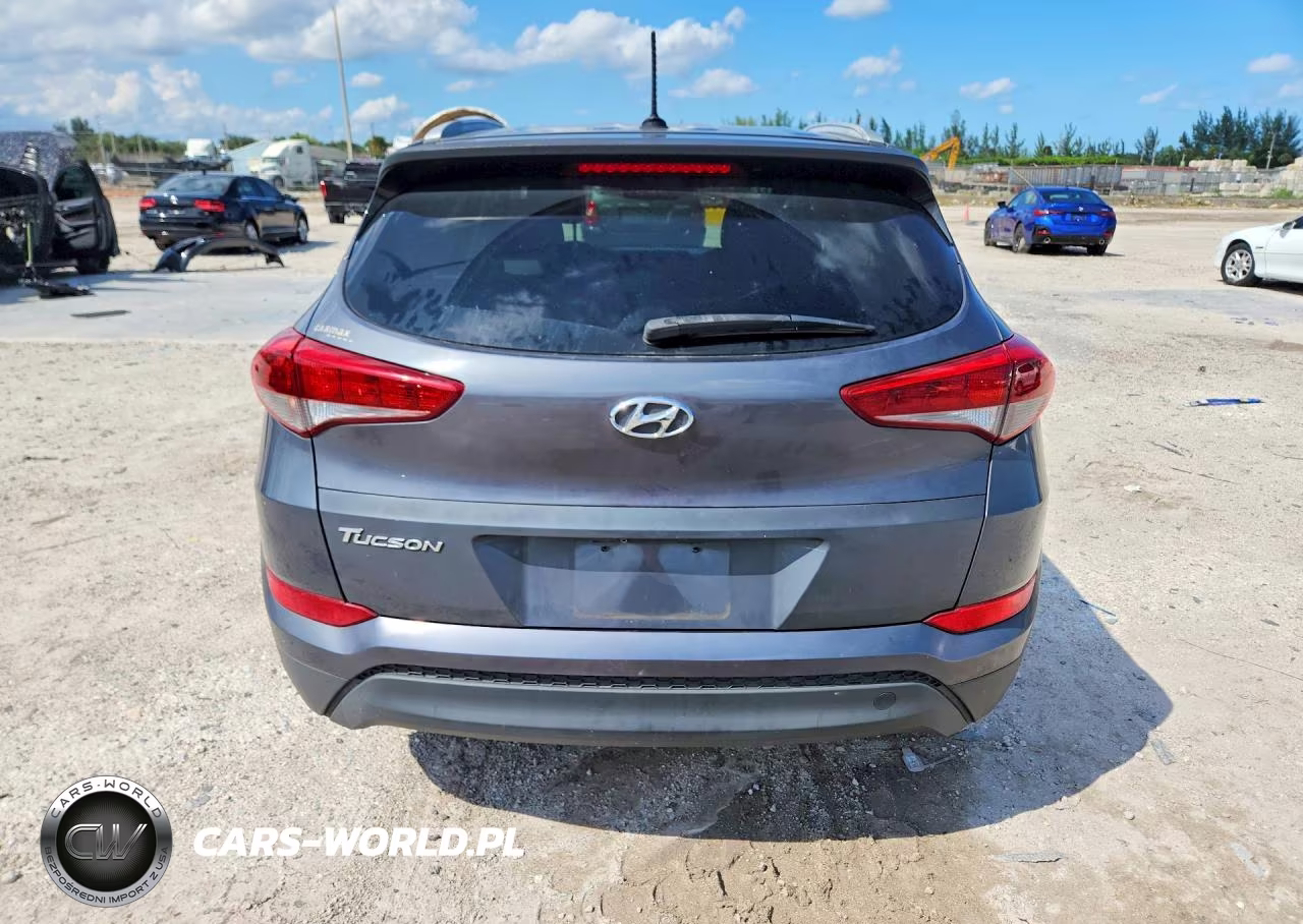 2017 Hyundai Tucson Se VIN:KM8J33A49HU496334 - 6