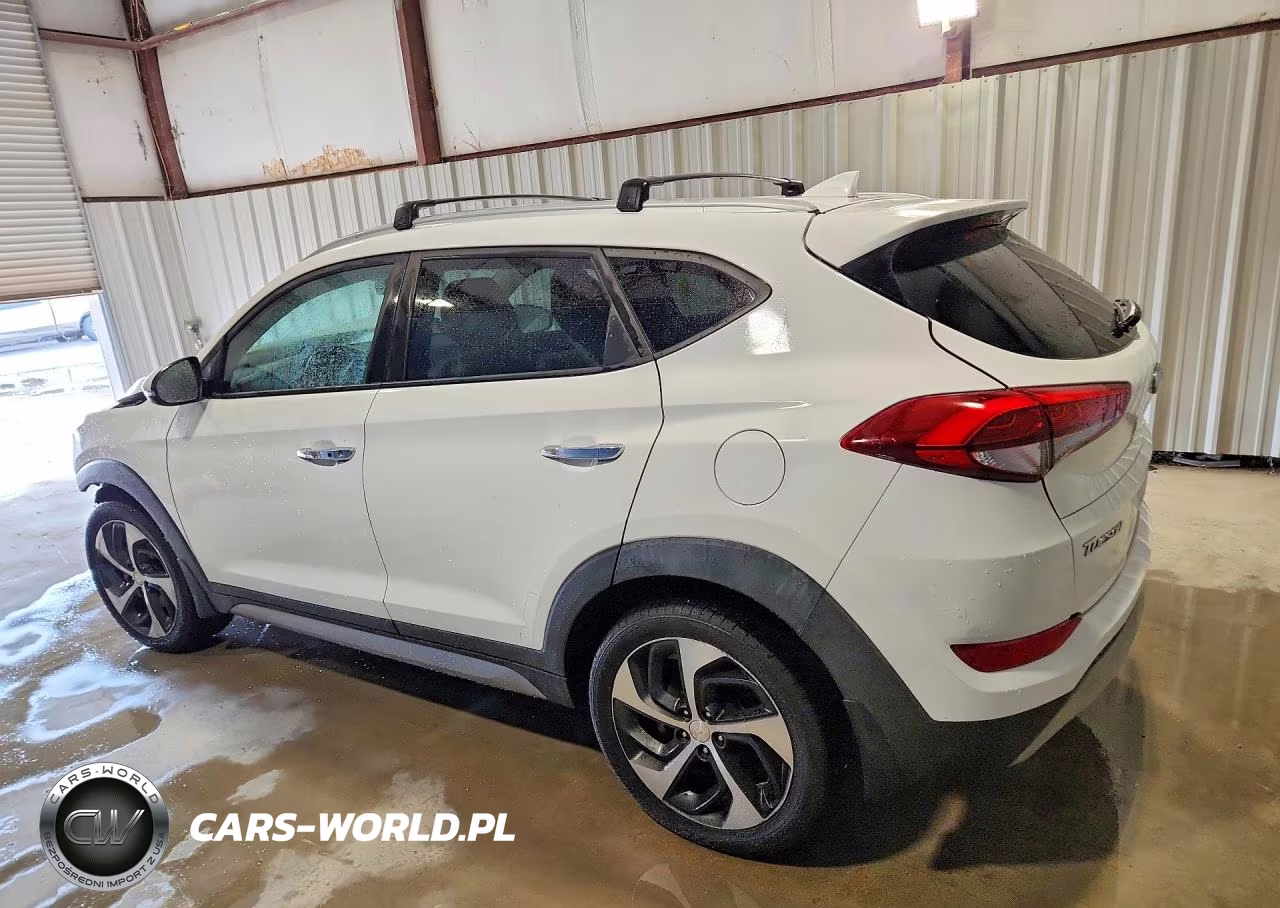2017 Hyundai Tucson Limited VIN:KM8J33A21HU302166 - 2