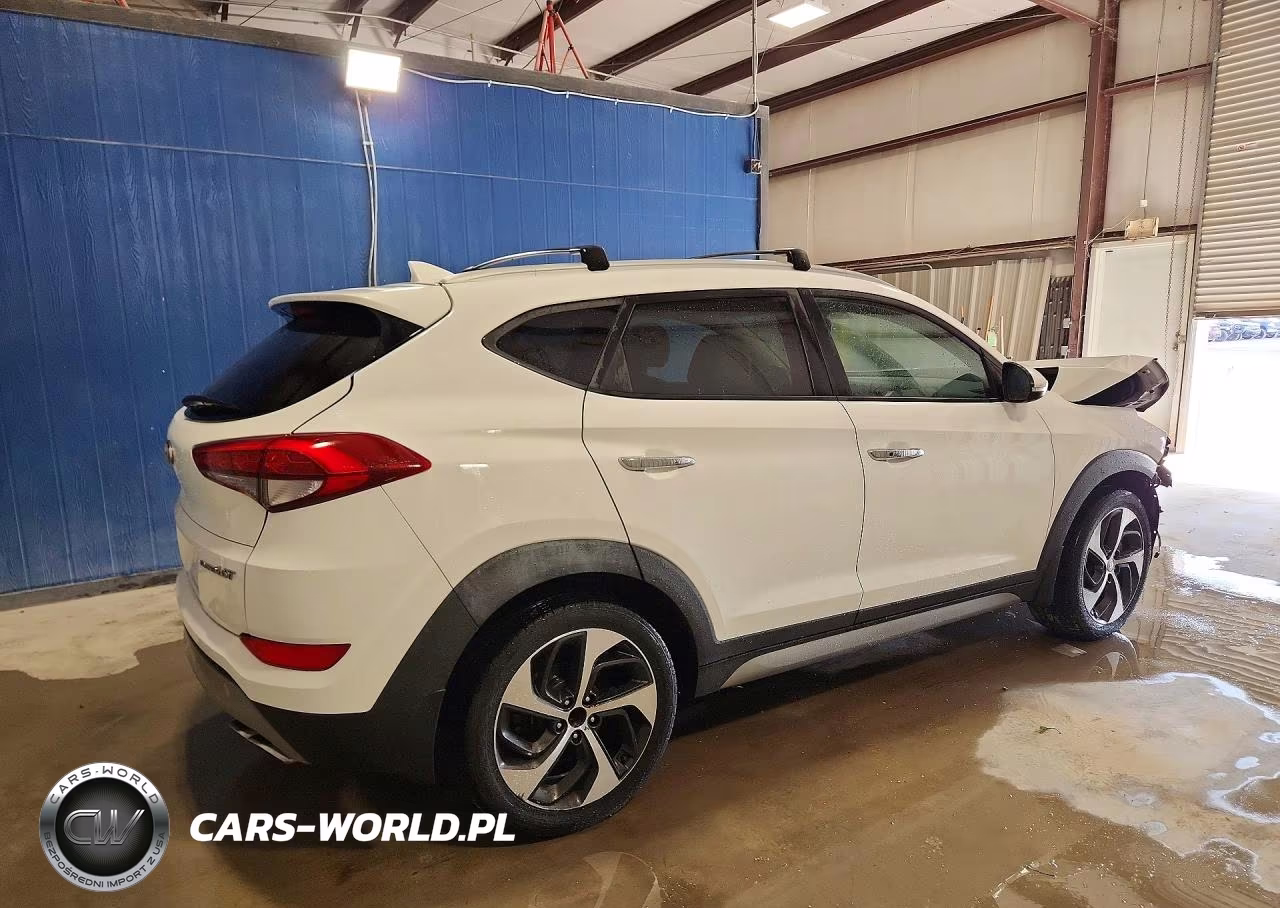 2017 Hyundai Tucson Limited VIN:KM8J33A21HU302166 - 3