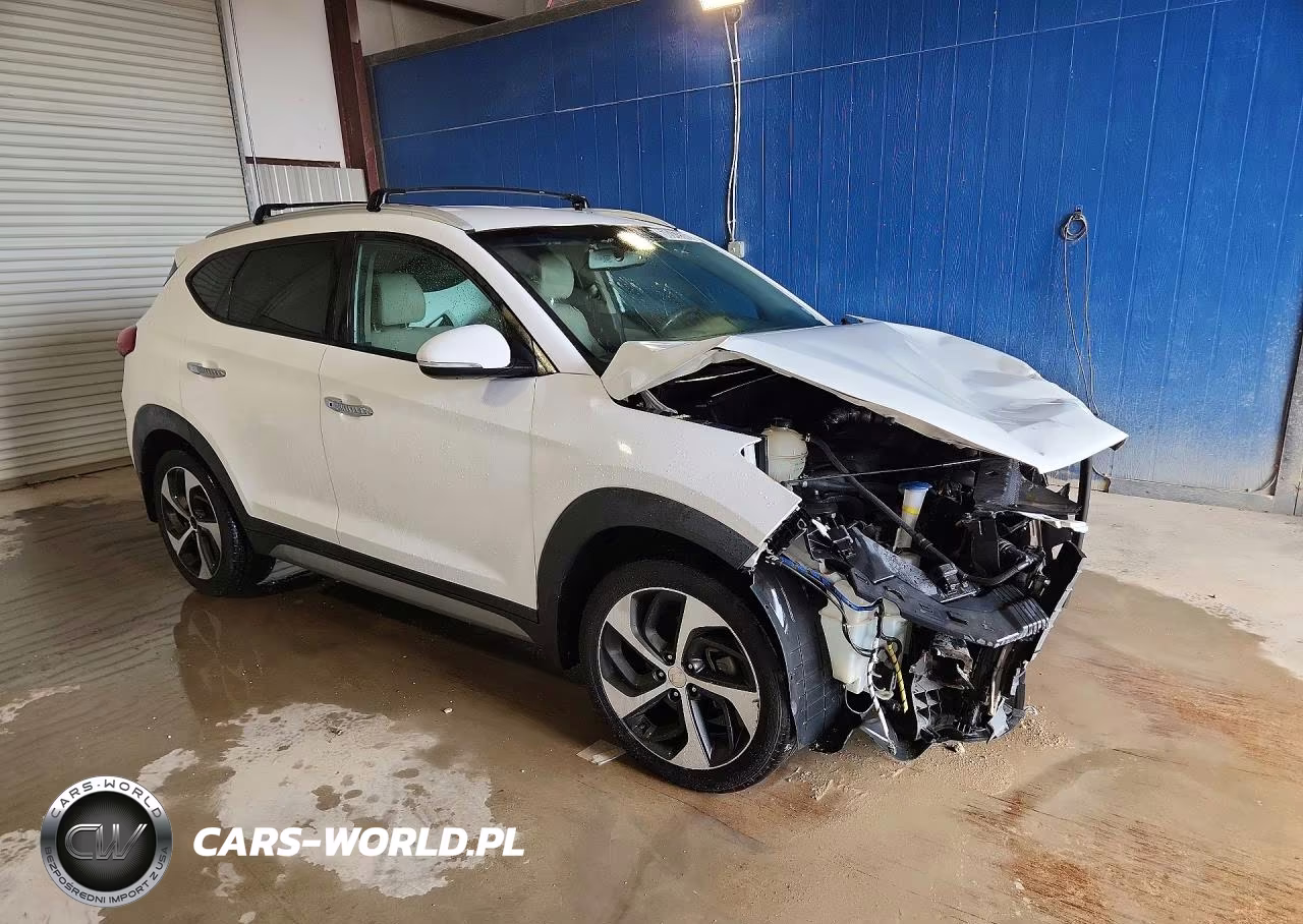 2017 Hyundai Tucson Limited VIN:KM8J33A21HU302166 - 4