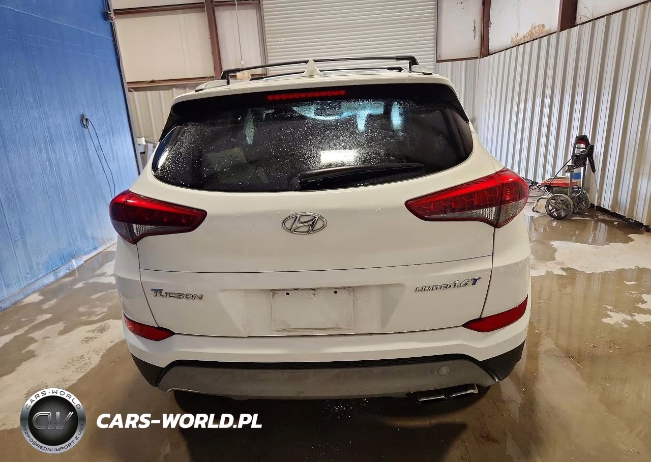 2017 Hyundai Tucson Limited VIN:KM8J33A21HU302166 - 6