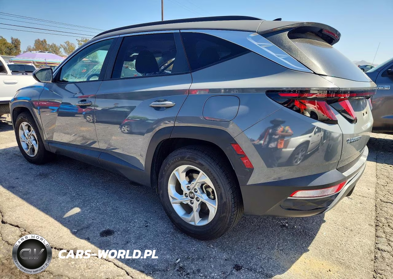 2024 Hyundai Tucson Sel VIN:5NMJB3DE5RH428603 - 2
