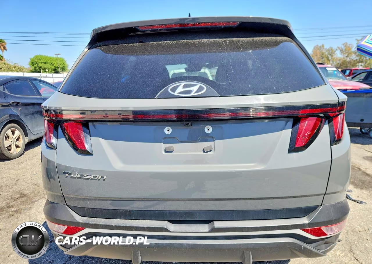 2024 Hyundai Tucson Sel VIN:5NMJB3DE5RH428603 - 6