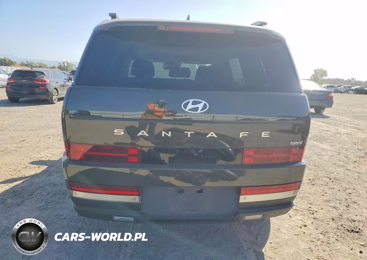 2024 Hyundai Santa Fe Limited VIN:5NMP34G19RH013449 - 6