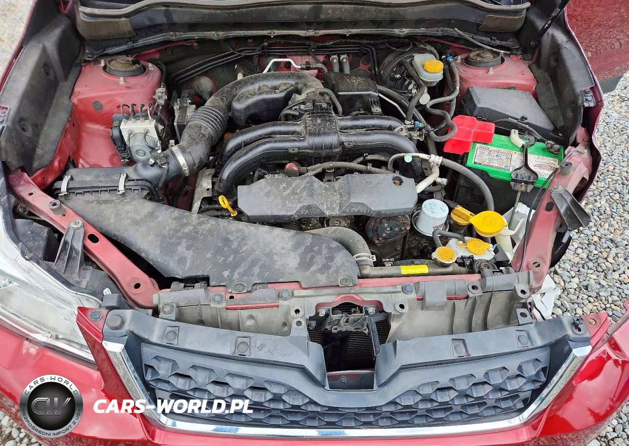 2016 Subaru Forester 2.5I VIN:JF2SJABC3GH477747 - 12