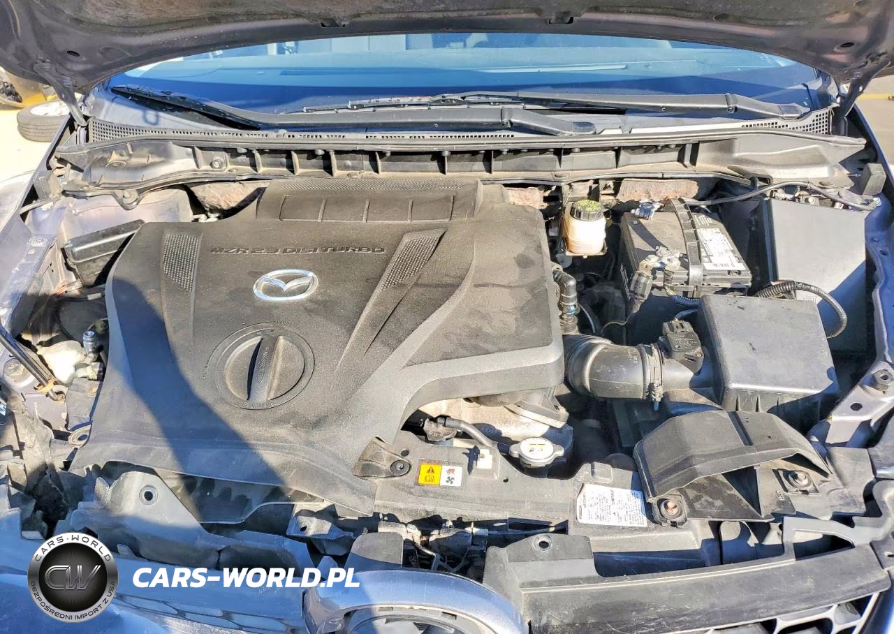 2009 Mazda Cx-7 VIN:JM3ER29L990225025 - 12