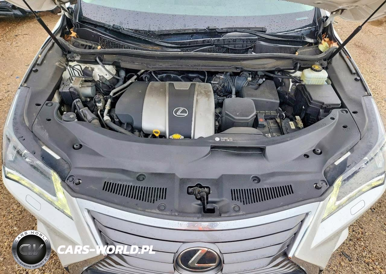 2016 Lexus Rx 350 VIN:JTJBZMCA8G2001399 - 11