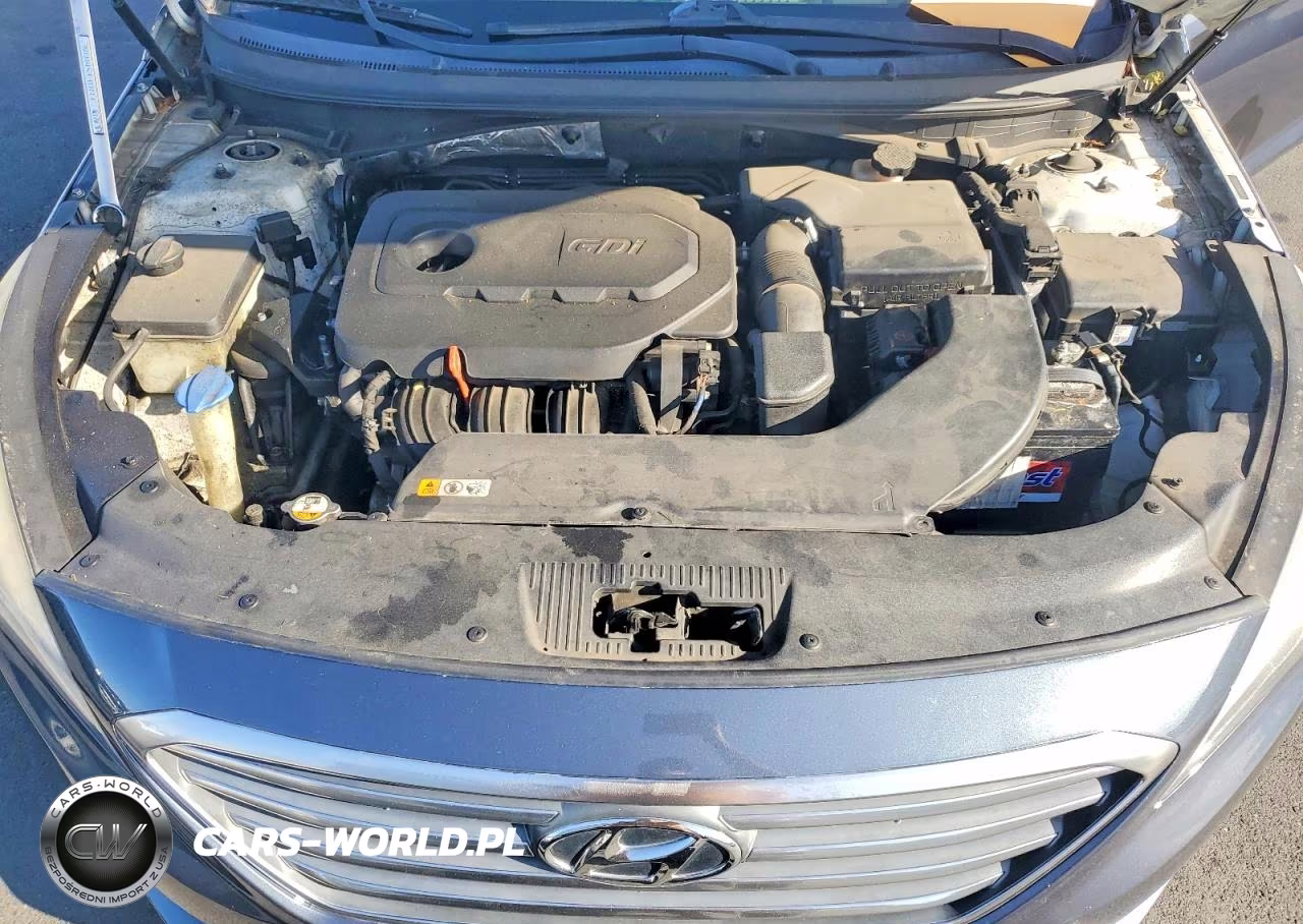 2016 Hyundai Sonata Se VIN:5NPE24AF6GH343533 - 11