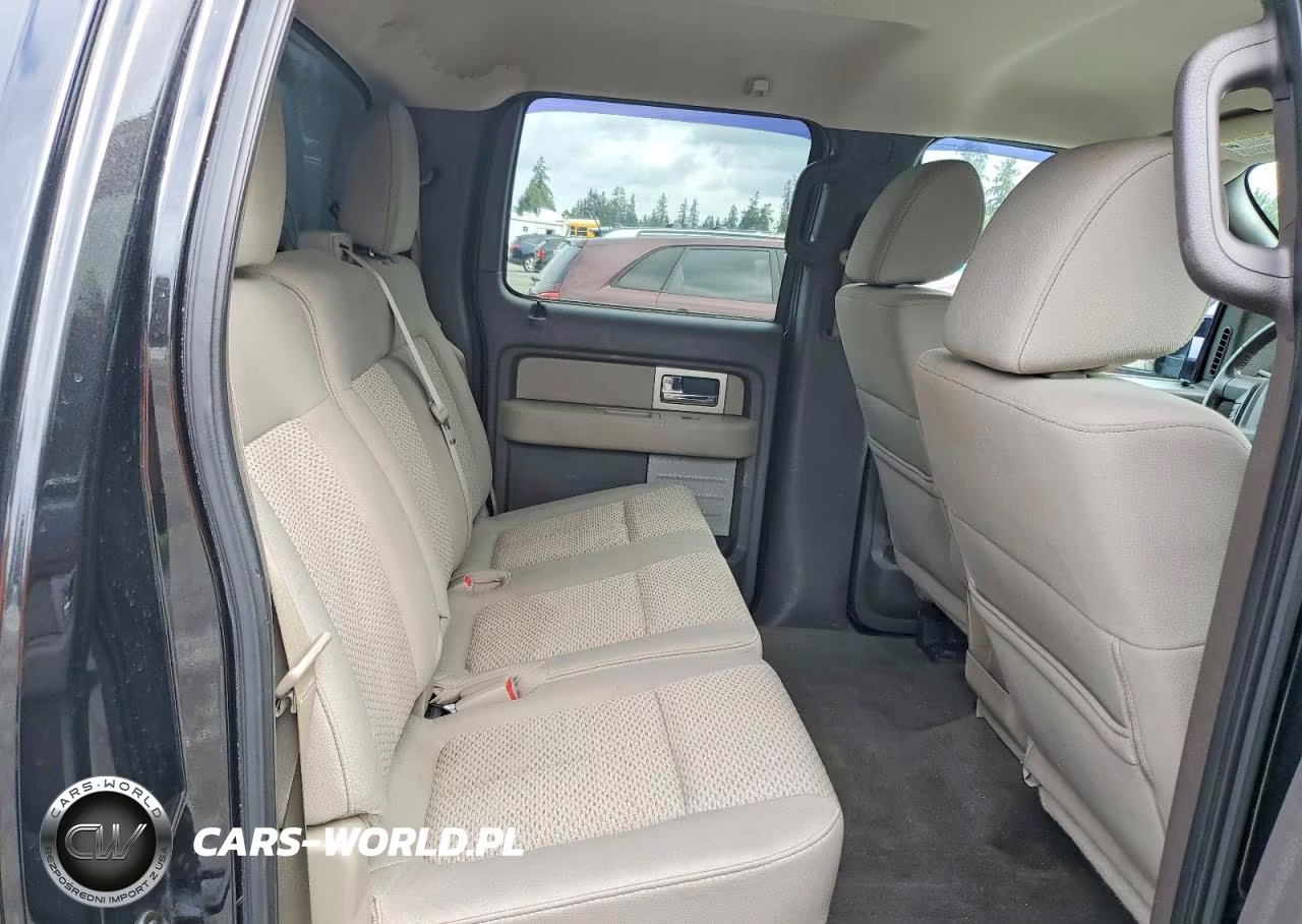2010 Ford F150 Supercrew VIN:1FTFW1EV4AFC52948 - 10