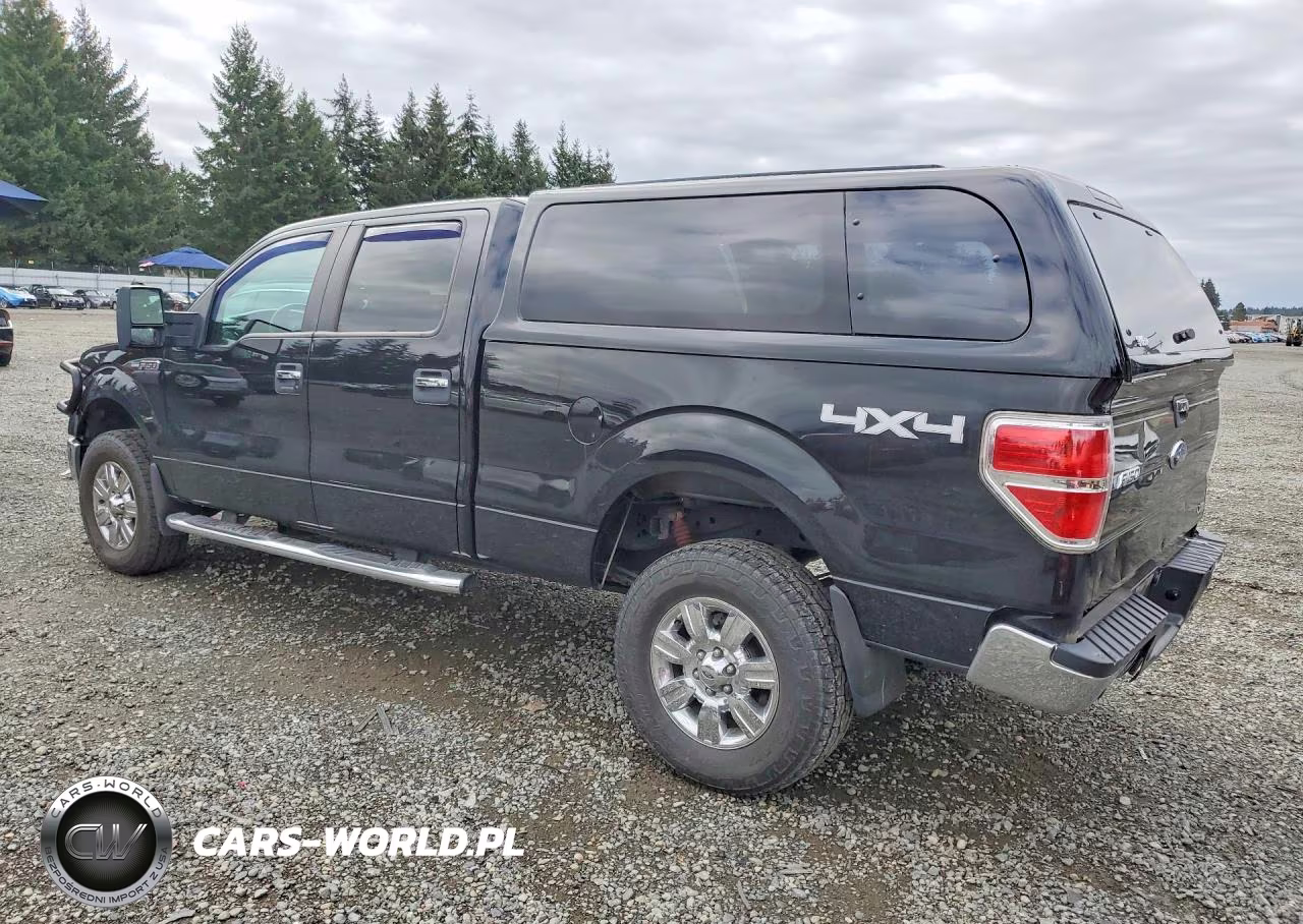 2010 Ford F150 Supercrew VIN:1FTFW1EV4AFC52948 - 2