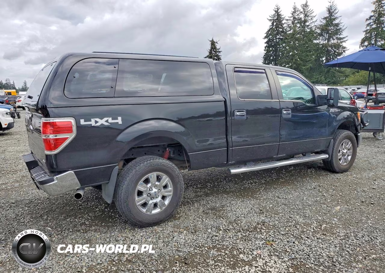 2010 Ford F150 Supercrew VIN:1FTFW1EV4AFC52948 - 3
