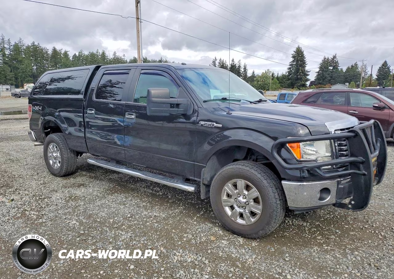 2010 Ford F150 Supercrew VIN:1FTFW1EV4AFC52948 - 4