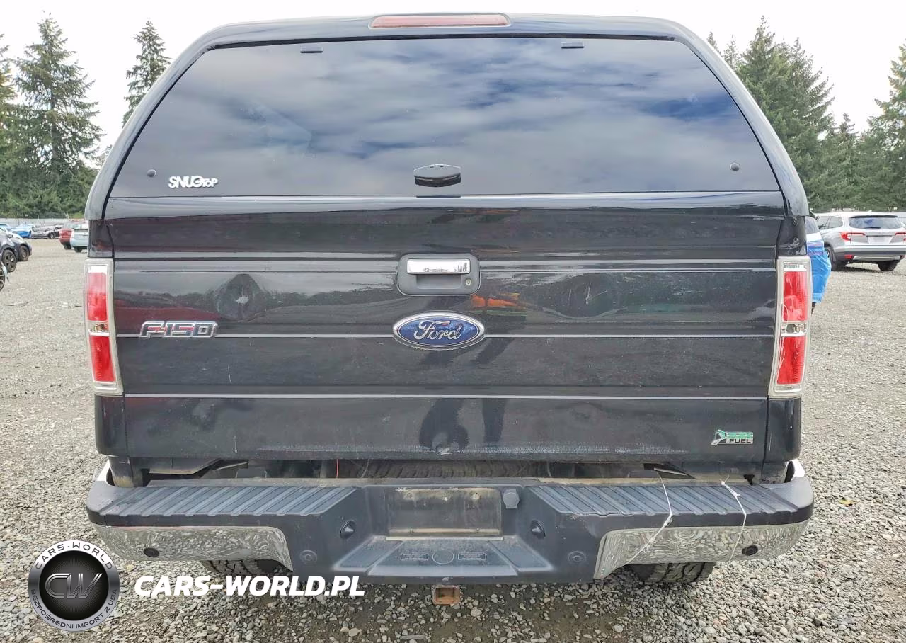 2010 Ford F150 Supercrew VIN:1FTFW1EV4AFC52948 - 6