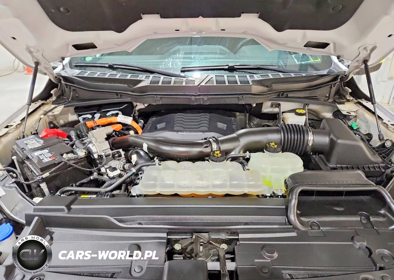 2021 Ford F150 Supercrew VIN:1FTFW1ED0MFB25822 - 11