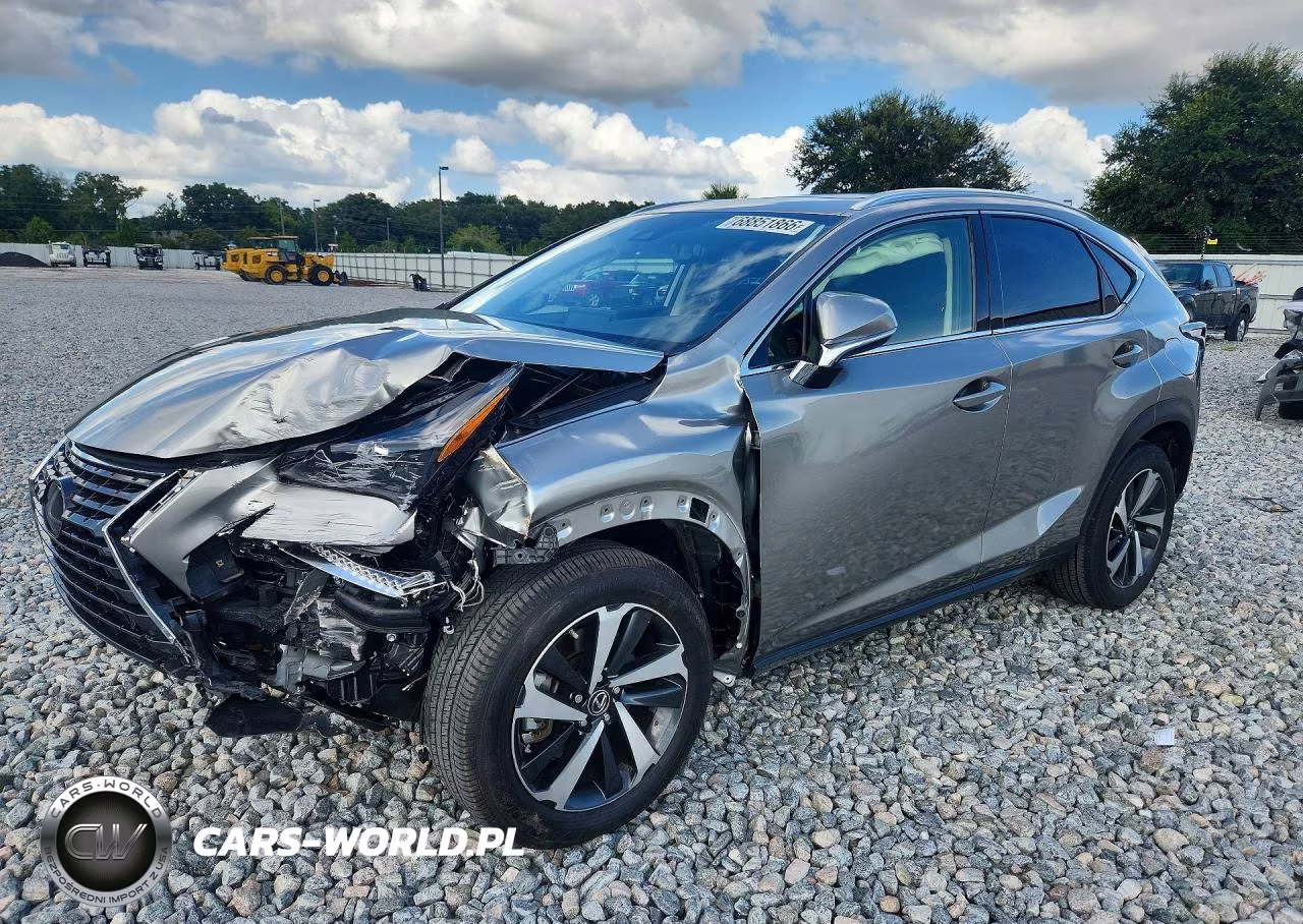 2021 Lexus Nx 300 Base VIN:JTJGARBZ3M2184739 - 1