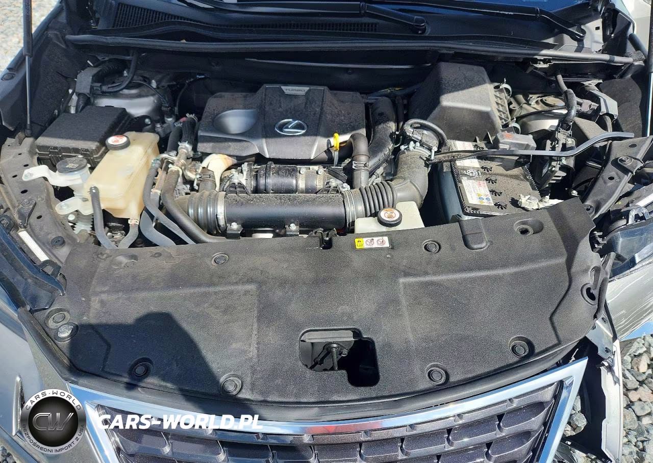 2021 Lexus Nx 300 Base VIN:JTJGARBZ3M2184739 - 12