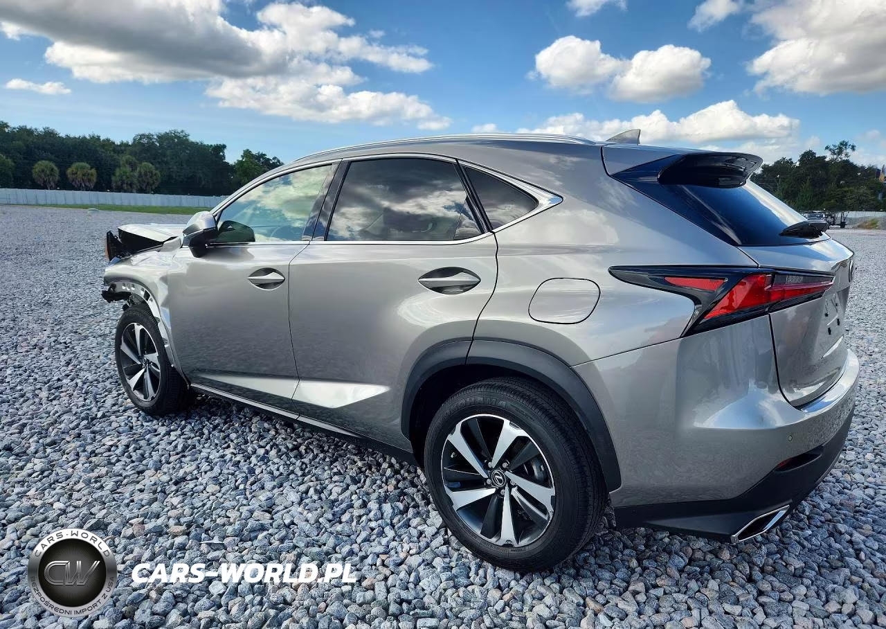 2021 Lexus Nx 300 Base VIN:JTJGARBZ3M2184739 - 2