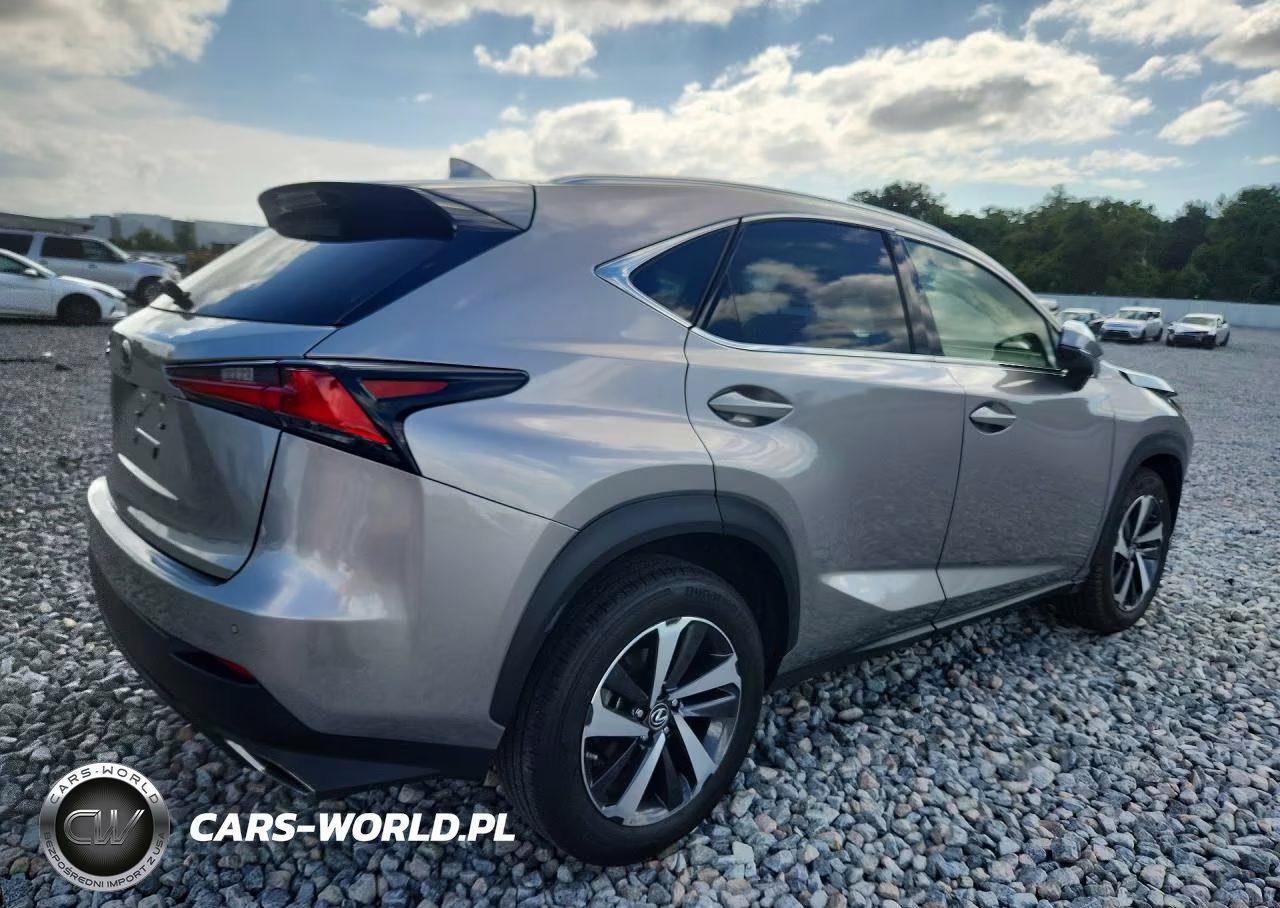 2021 Lexus Nx 300 Base VIN:JTJGARBZ3M2184739 - 3