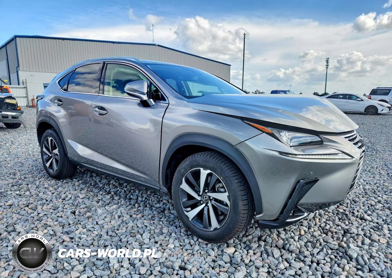 2021 Lexus Nx 300 Base VIN:JTJGARBZ3M2184739 - 4