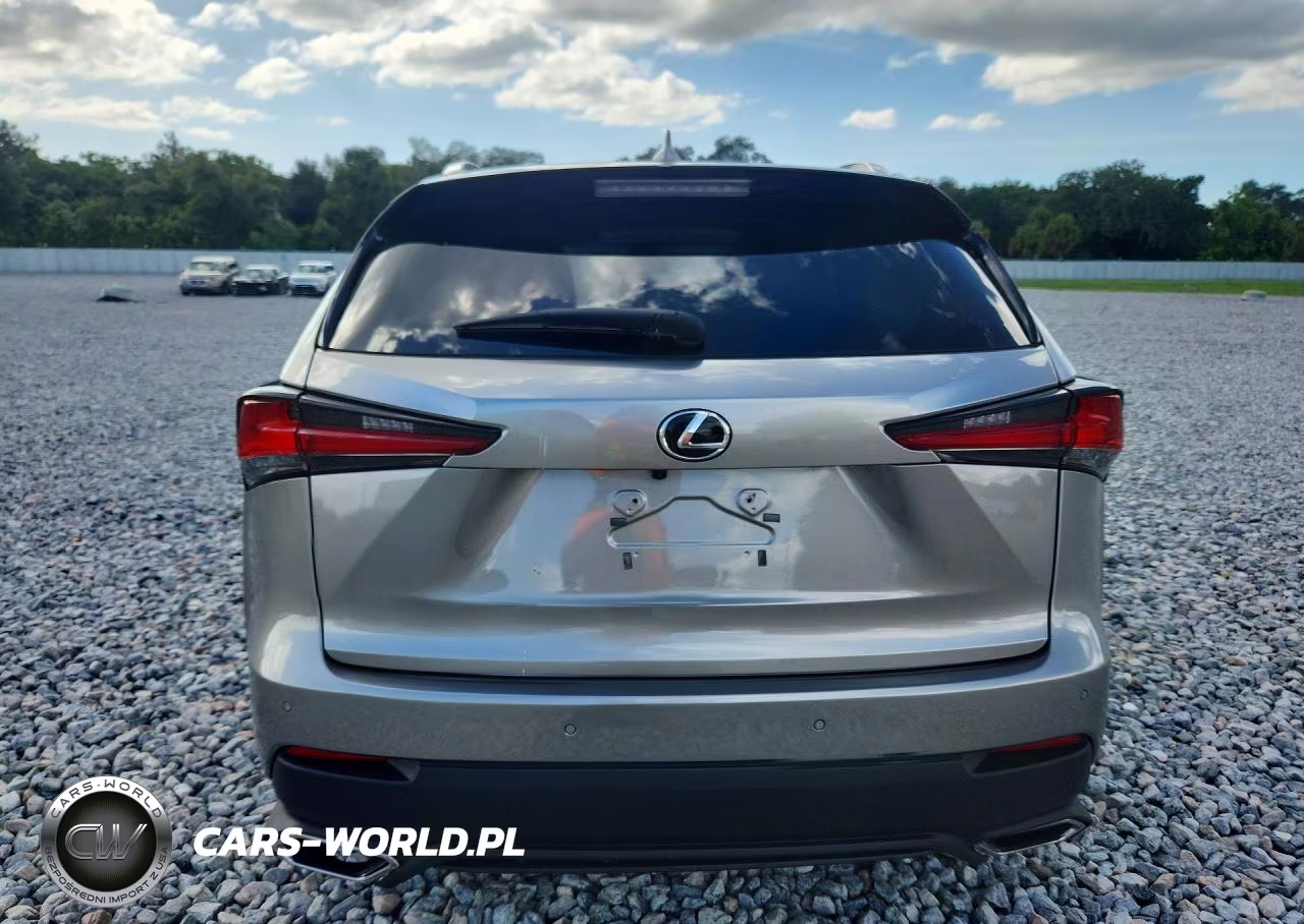 2021 Lexus Nx 300 Base VIN:JTJGARBZ3M2184739 - 6