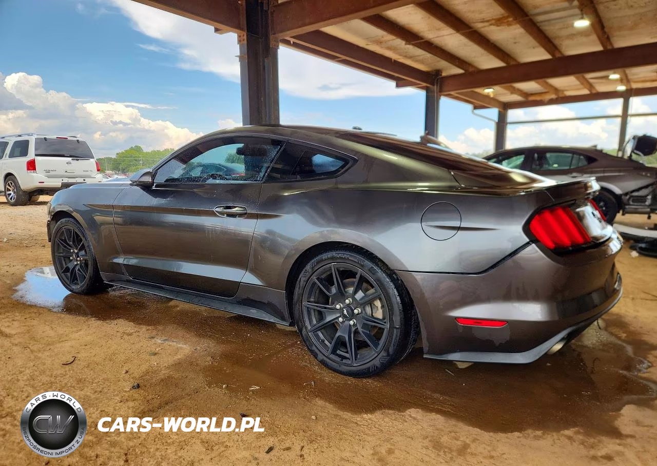 2016 Ford Mustang VIN:1FA6P8TH5G5243876 - 2