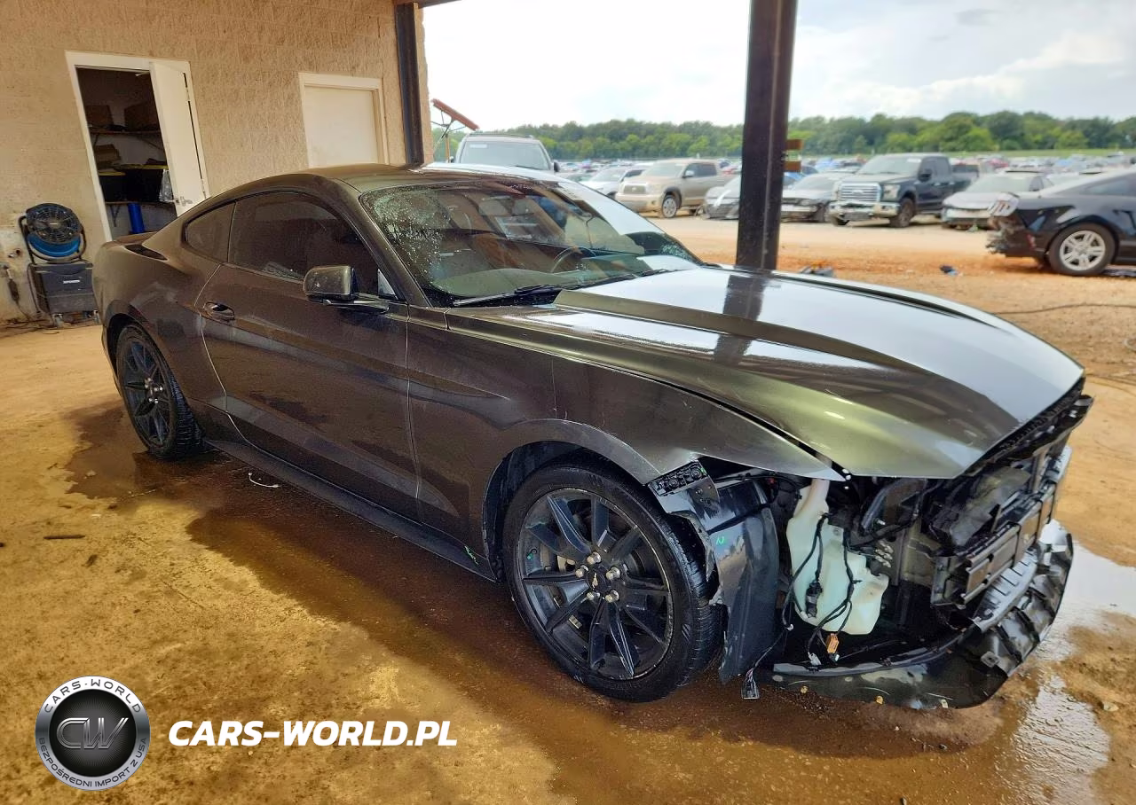 2016 Ford Mustang VIN:1FA6P8TH5G5243876 - 4