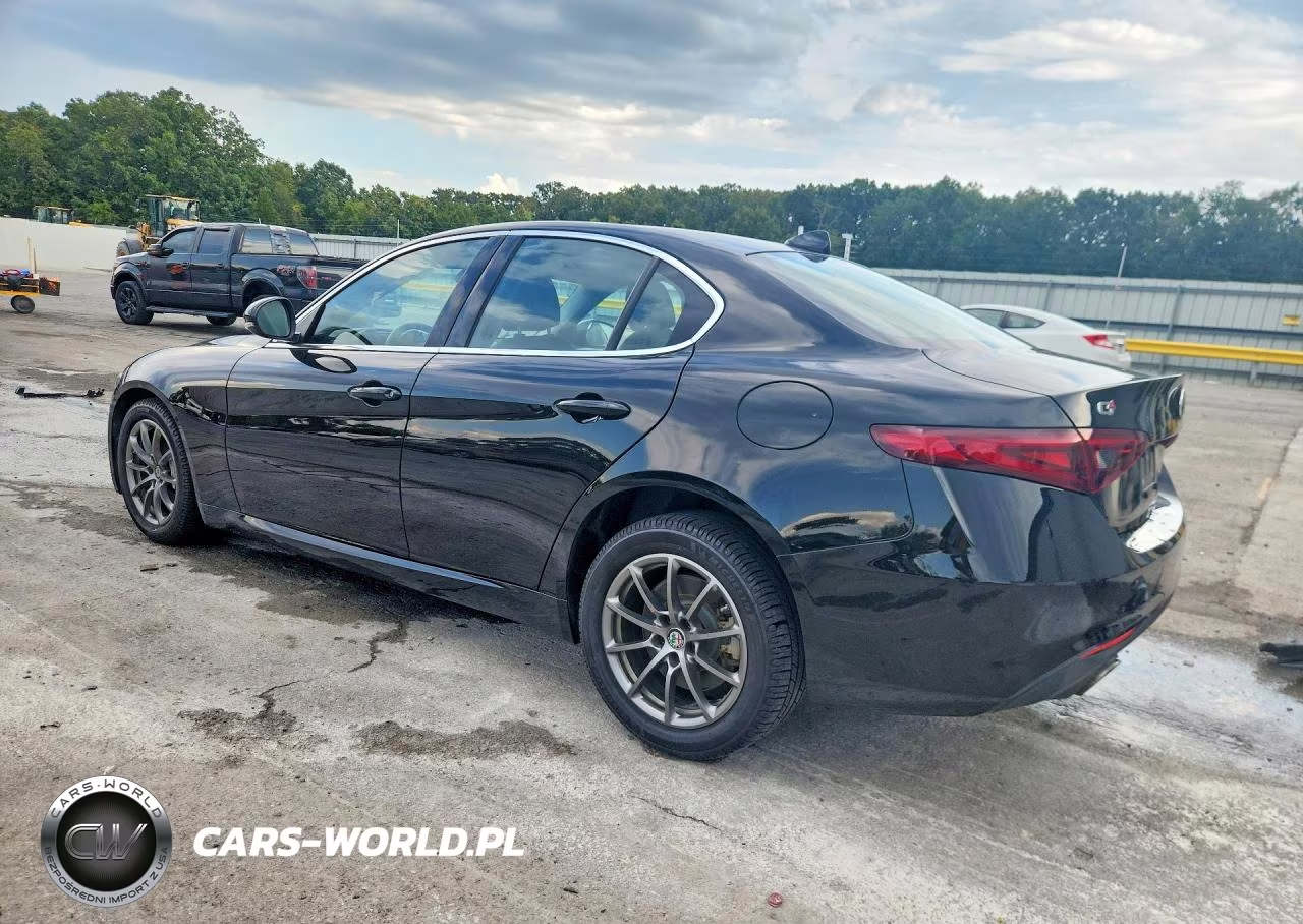 2020 Alfa Romeo Giulia VIN:ZARFANAN8L7624807 - 2