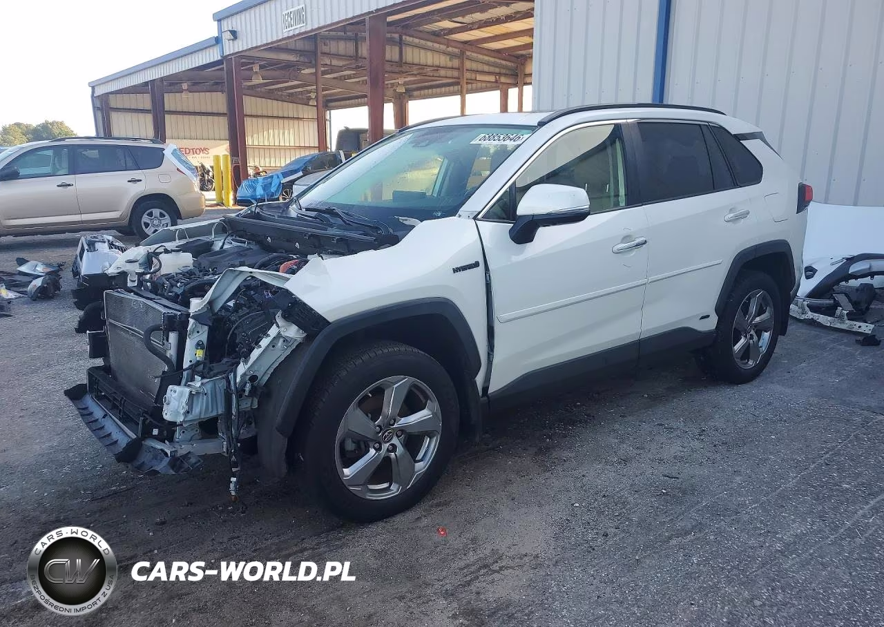 2019 Toyota Rav4 Limited VIN:JTMDWRFV7KD035654 - 1