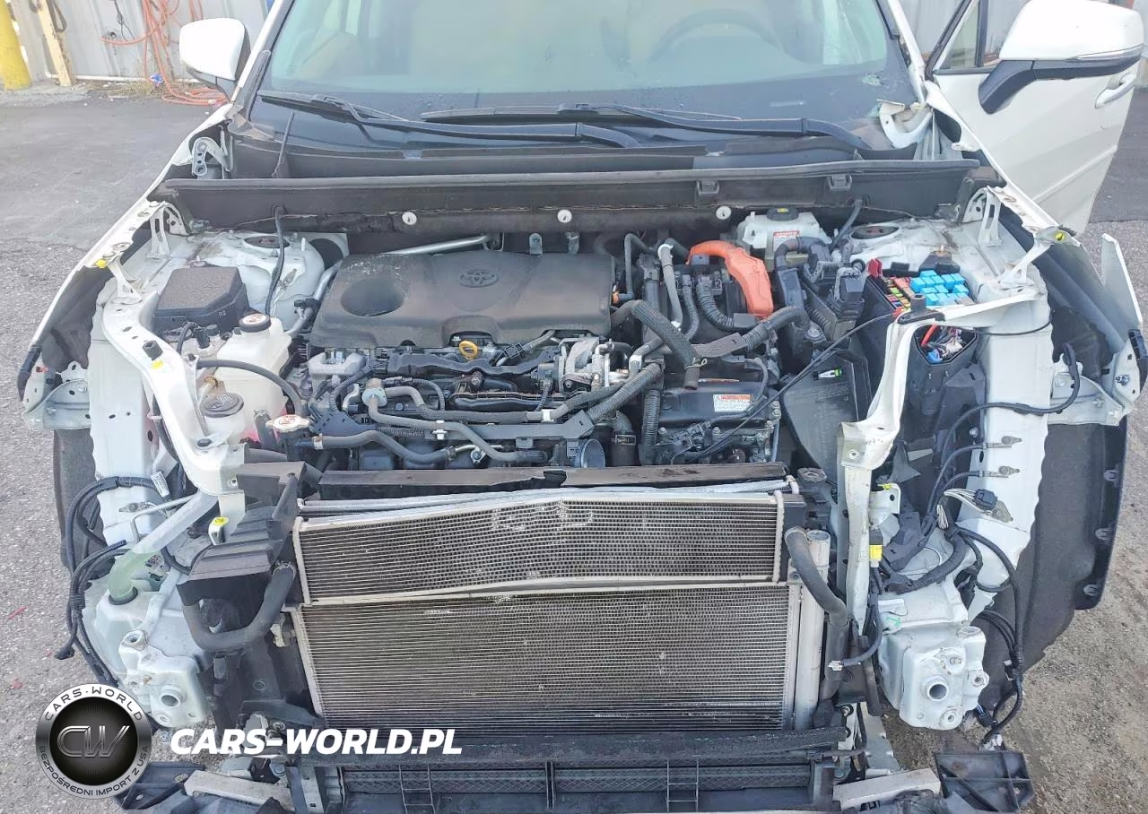2019 Toyota Rav4 Limited VIN:JTMDWRFV7KD035654 - 12