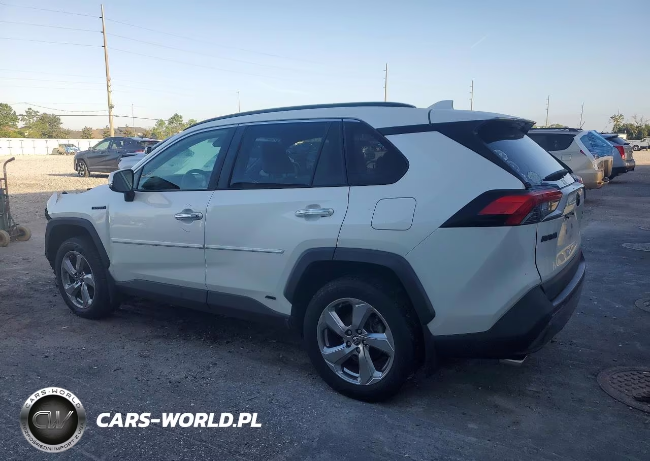 2019 Toyota Rav4 Limited VIN:JTMDWRFV7KD035654 - 2