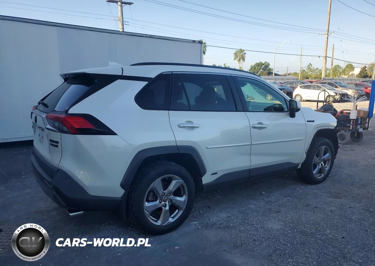 2019 Toyota Rav4 Limited VIN:JTMDWRFV7KD035654 - 3
