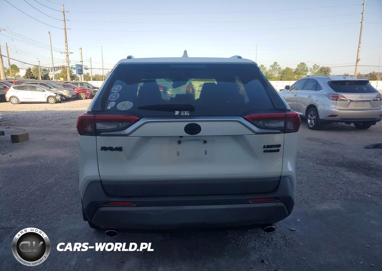 2019 Toyota Rav4 Limited VIN:JTMDWRFV7KD035654 - 6