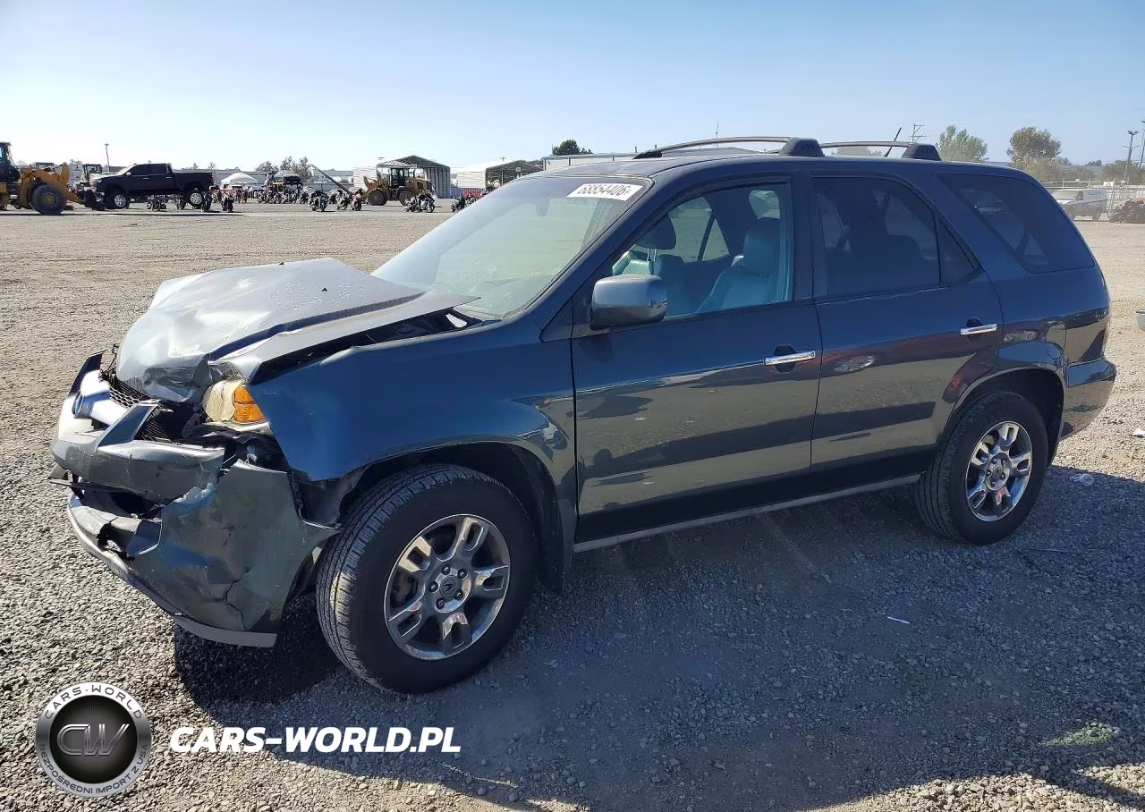 2004 Acura Mdx Touring VIN:2HNYD186X4H559217 - 1