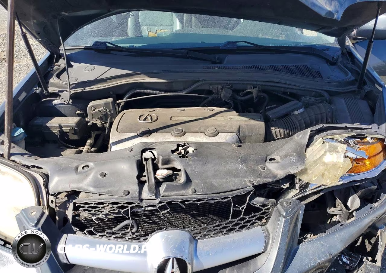 2004 Acura Mdx Touring VIN:2HNYD186X4H559217 - 12