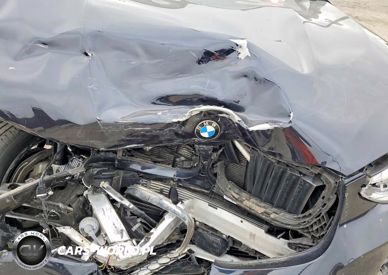 2020 BMW X3 xDrive30E VIN:5UXTS1C09L9C23762 - 12