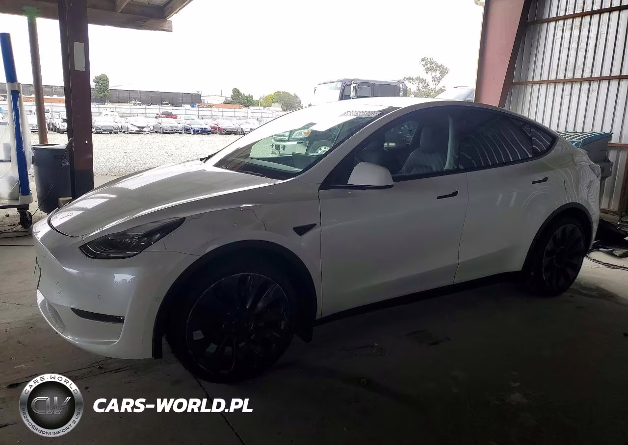 2020 Tesla Model Y