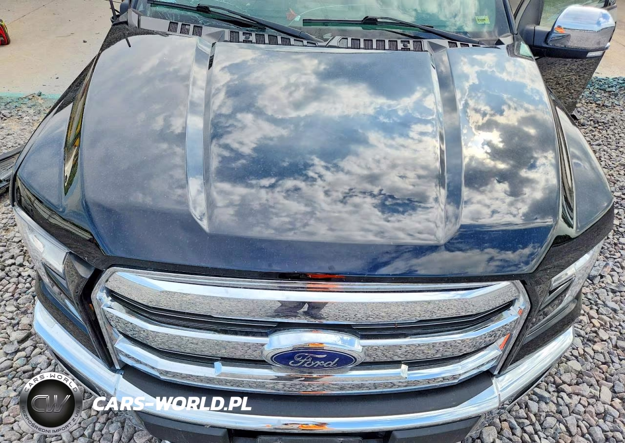 2016 Ford F150 Supercrew VIN:1FTEW1EG0GKD23091 - 11