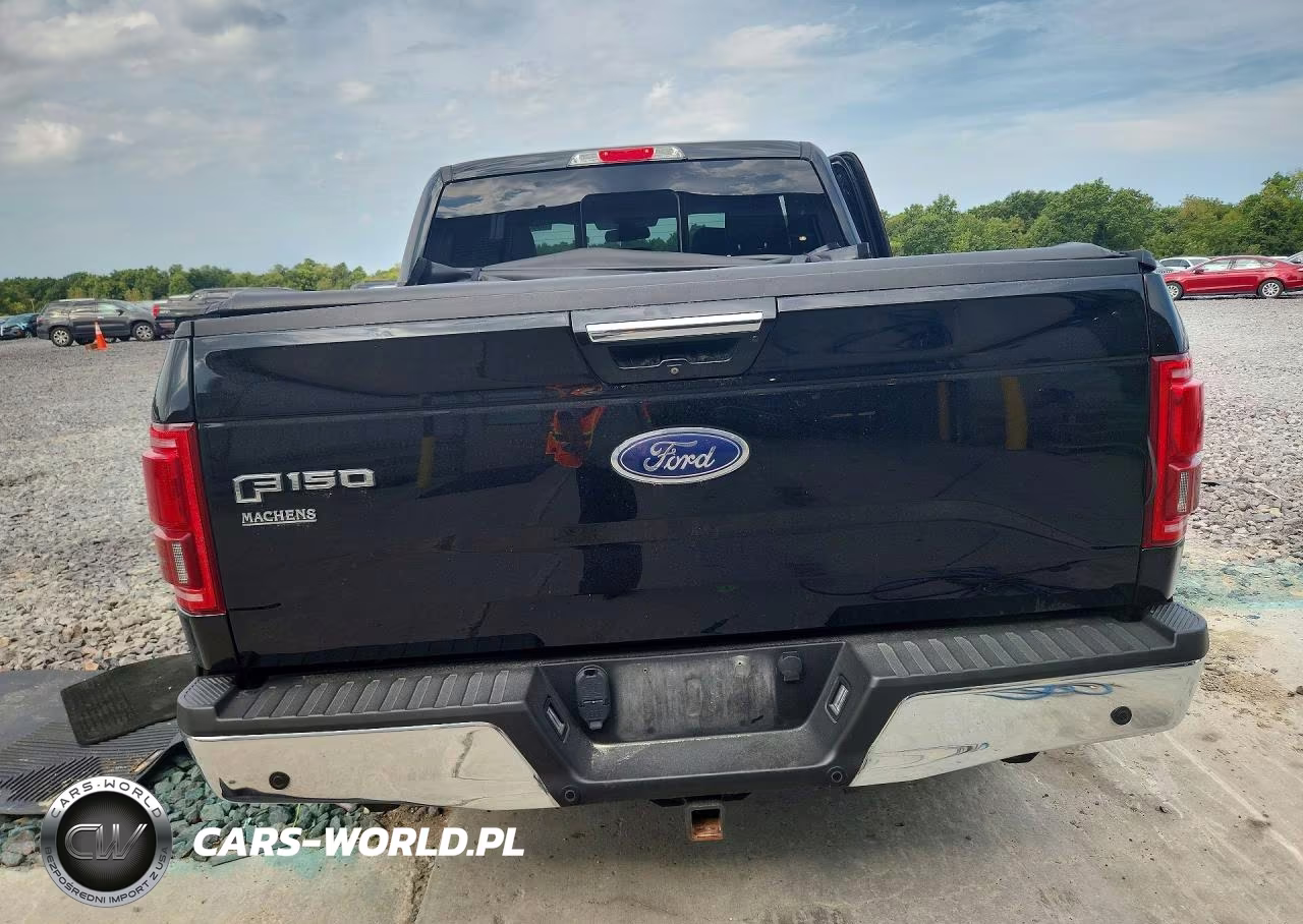 2016 Ford F150 Supercrew VIN:1FTEW1EG0GKD23091 - 6