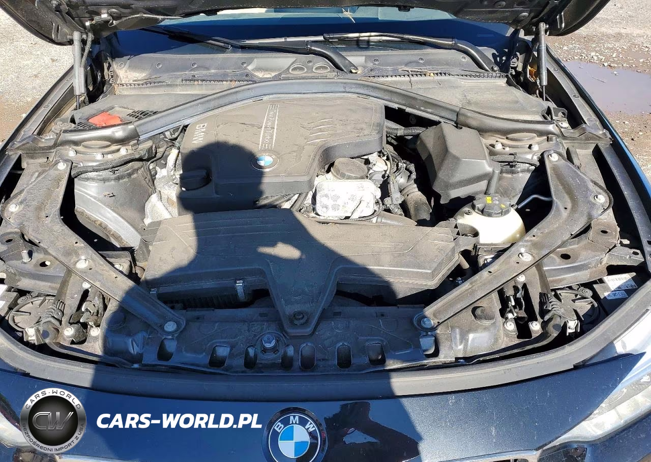 2015 BMW 428 Xi VIN:WBA3V9C5XFP946727 - 11