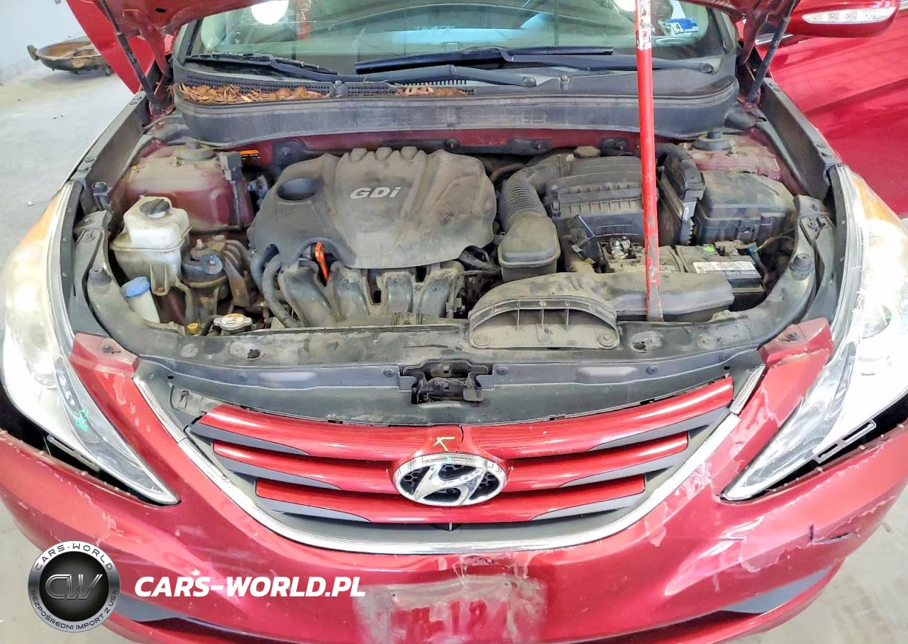 2014 Hyundai Sonata Gls VIN:5NPEB4AC9EH893828 - 11