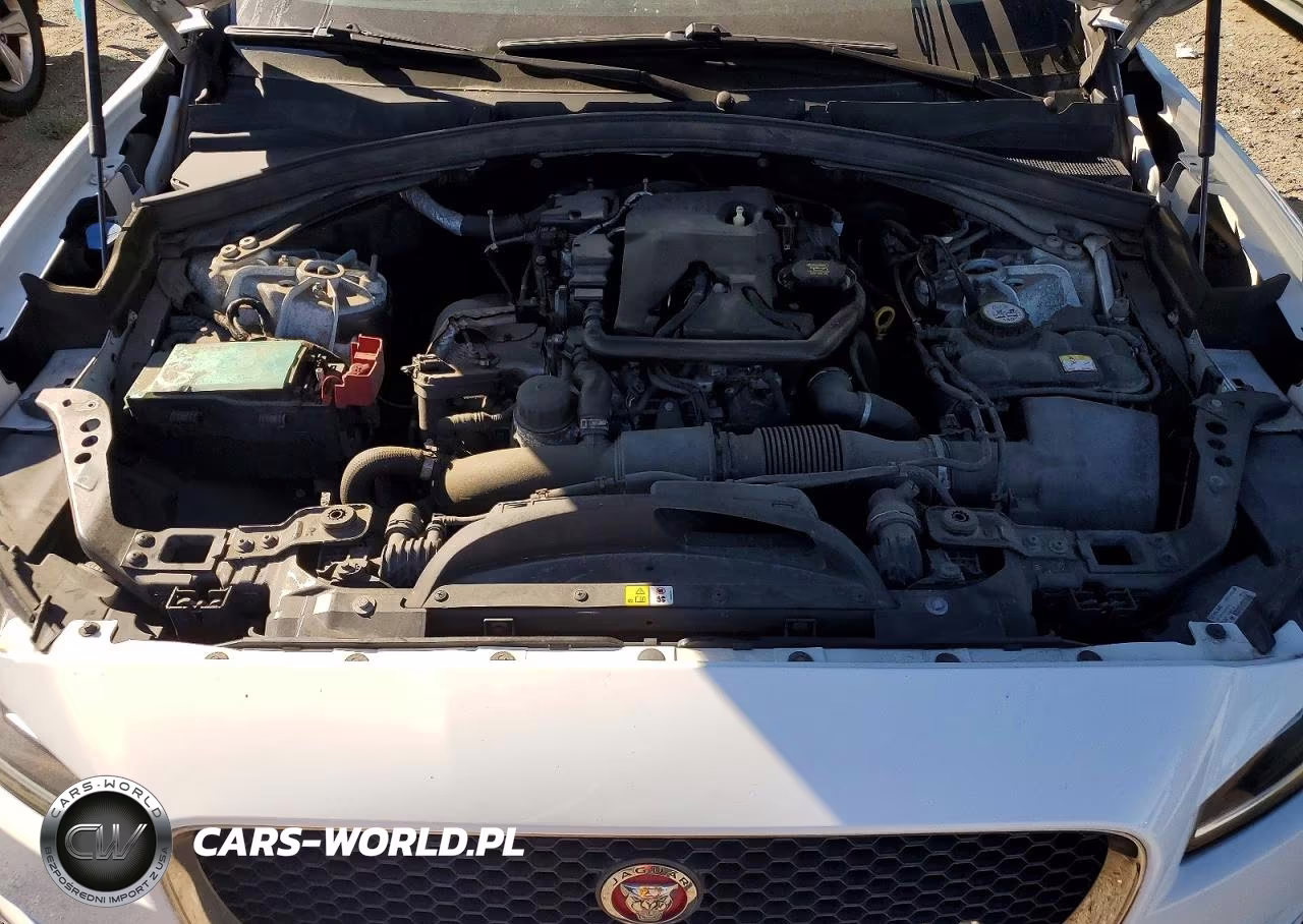 2019 Jaguar F-Pace Premium VIN:SADCJ2FX8KA399154 - 12