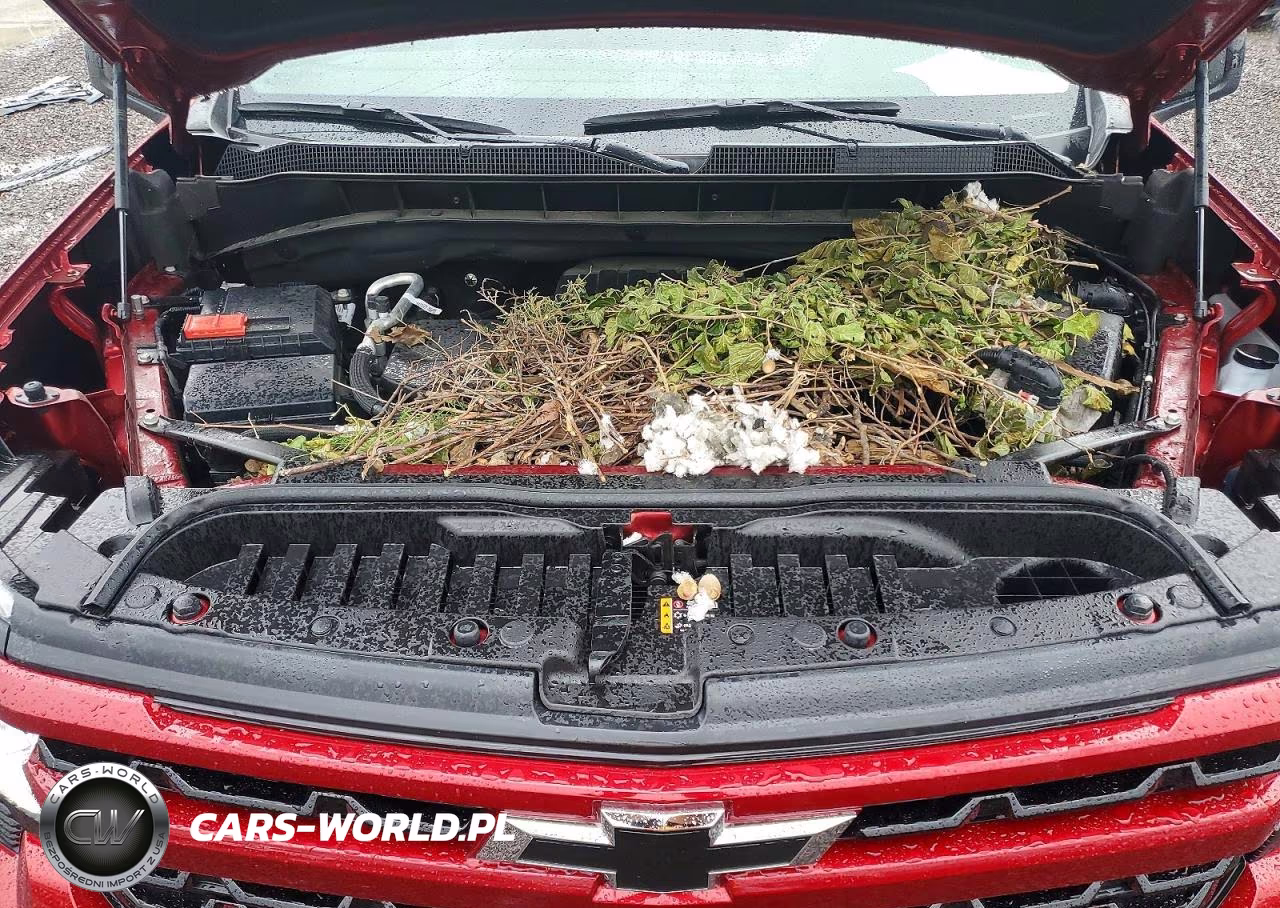 2025 Chevrolet Silverado K1500 Rst VIN:1GCPKEEK1SZ280588 - 11